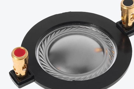 Diaphragm